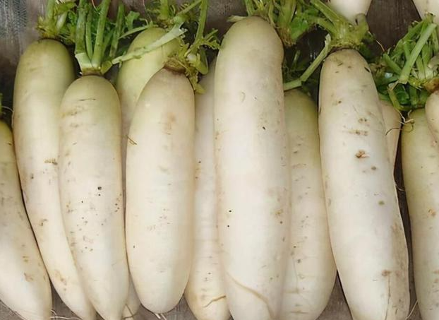 止咳化痰食疗偏方 哪些食疗偏方可以止咳化痰